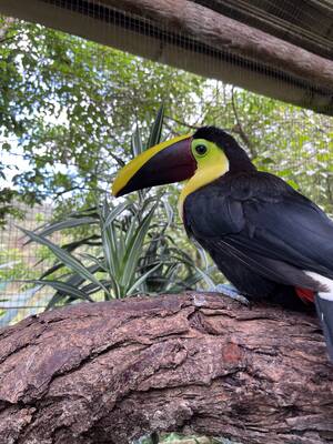 Costa Rica