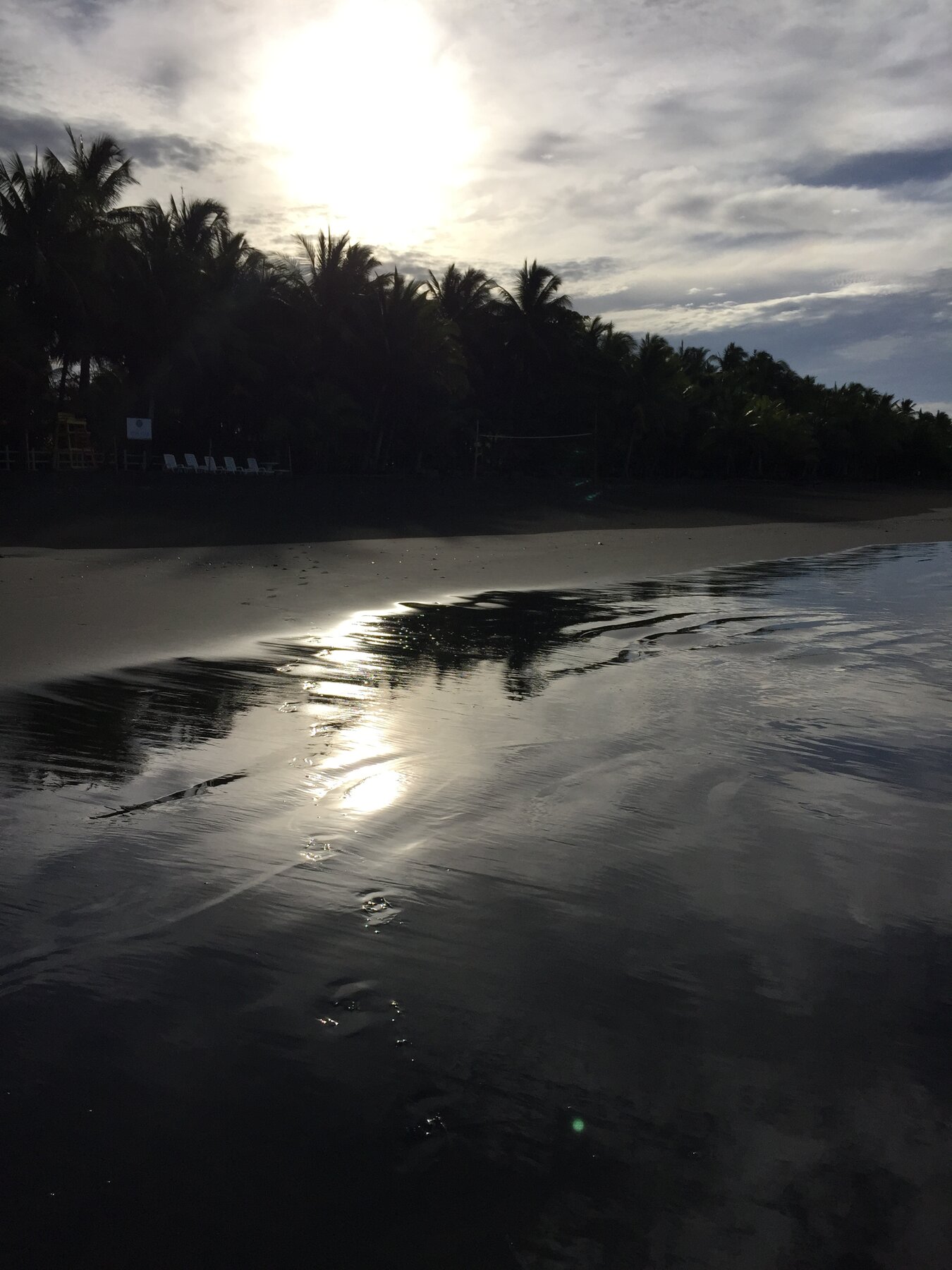Carara / Manuel Antonio area, Central Pacific Coast