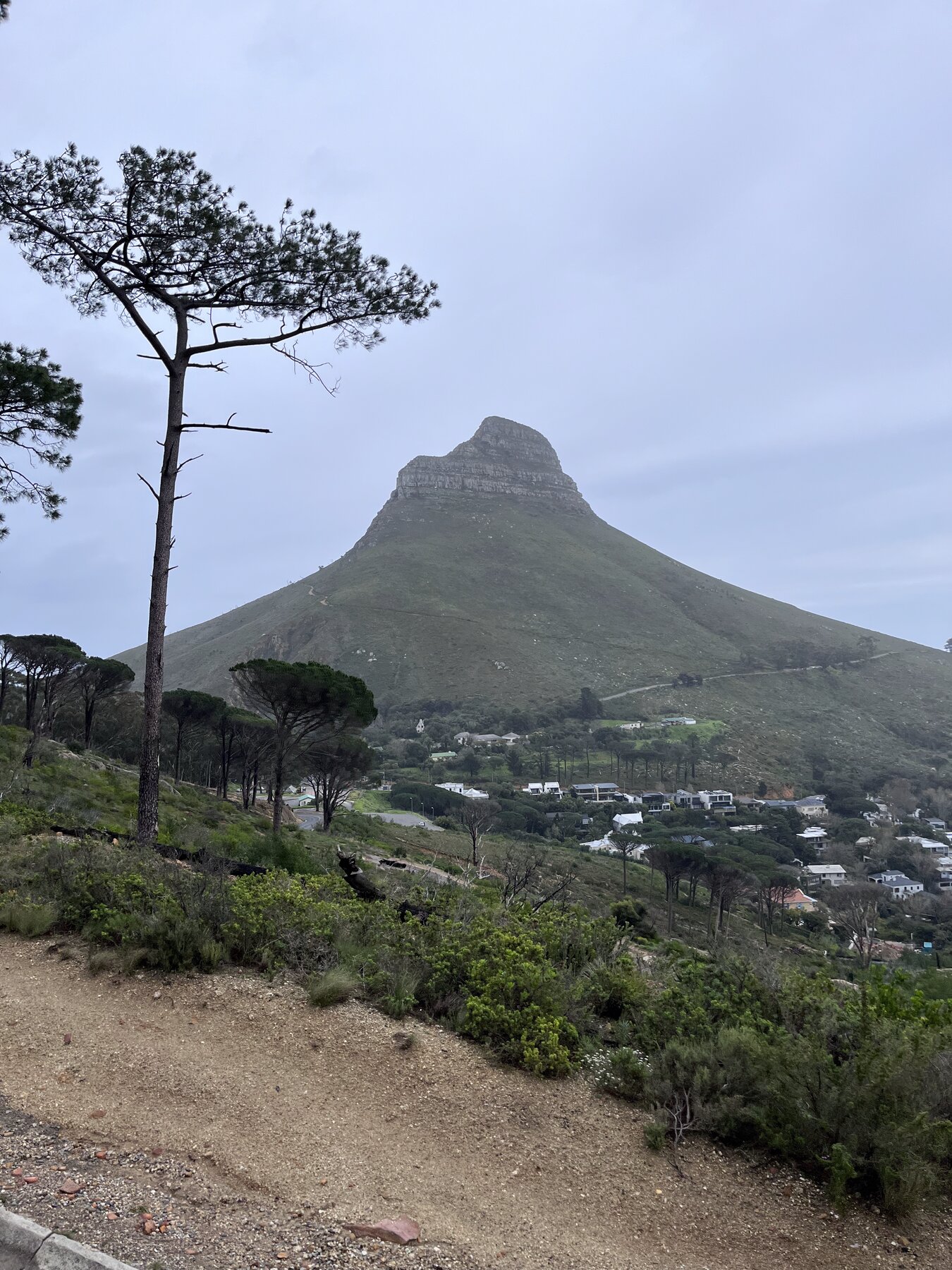 Stellenbosch Winelands