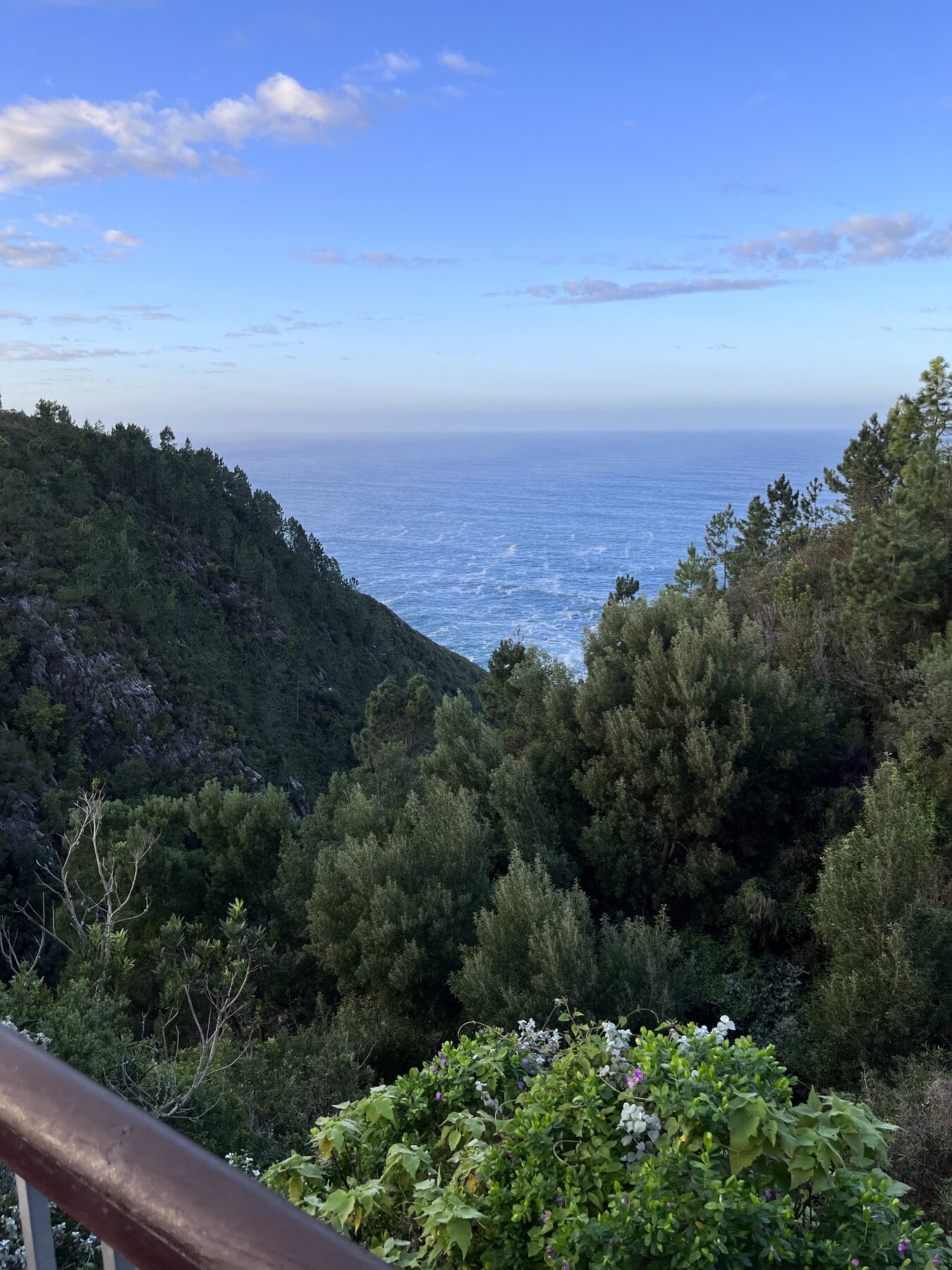 Storms River & Tsitsikamma, Garden Route
