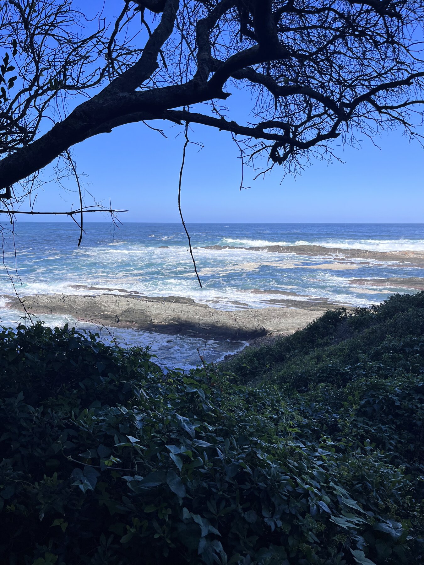 Storms River & Tsitsikamma, Garden Route