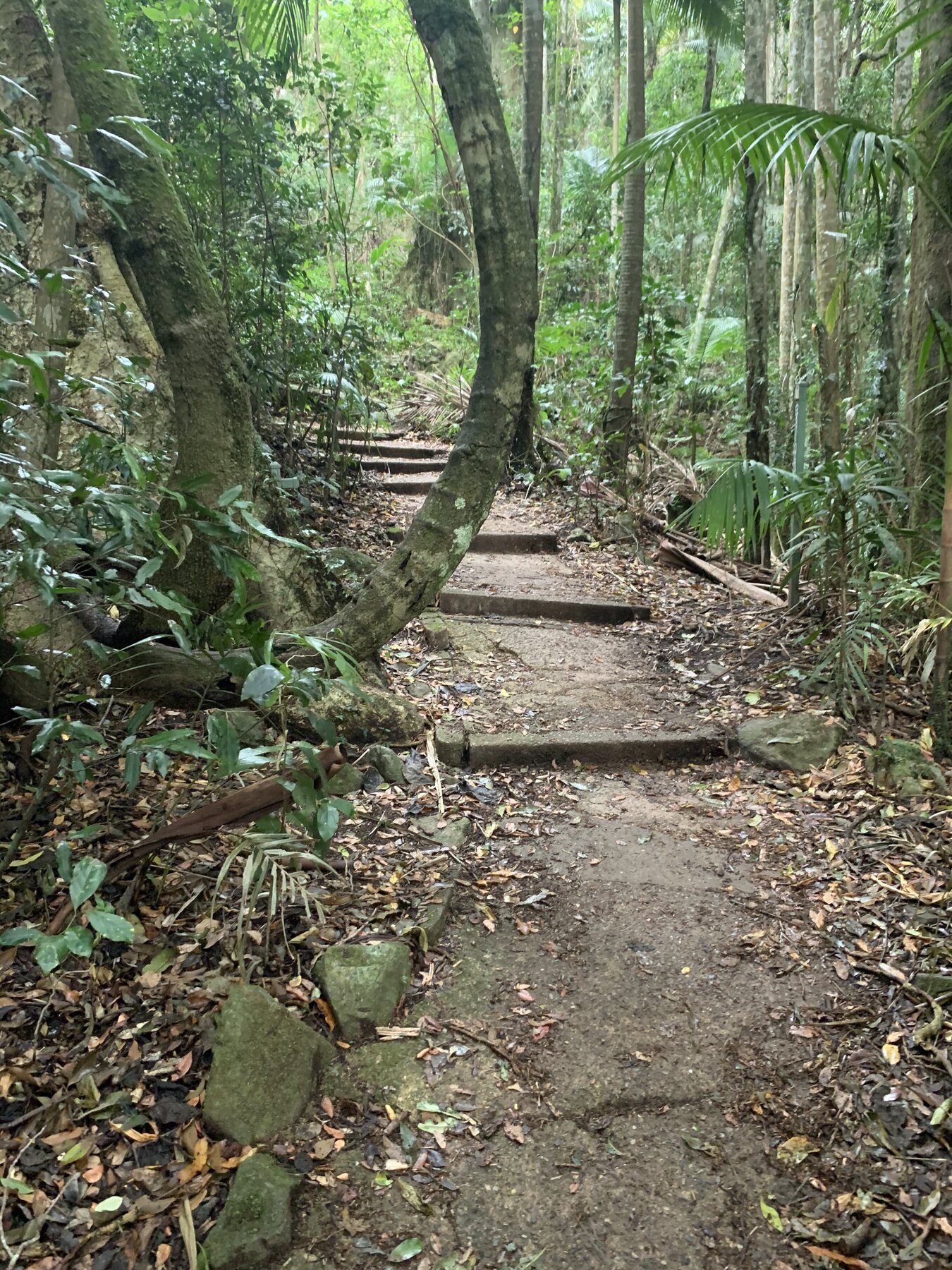 Gold Coast Hinterland