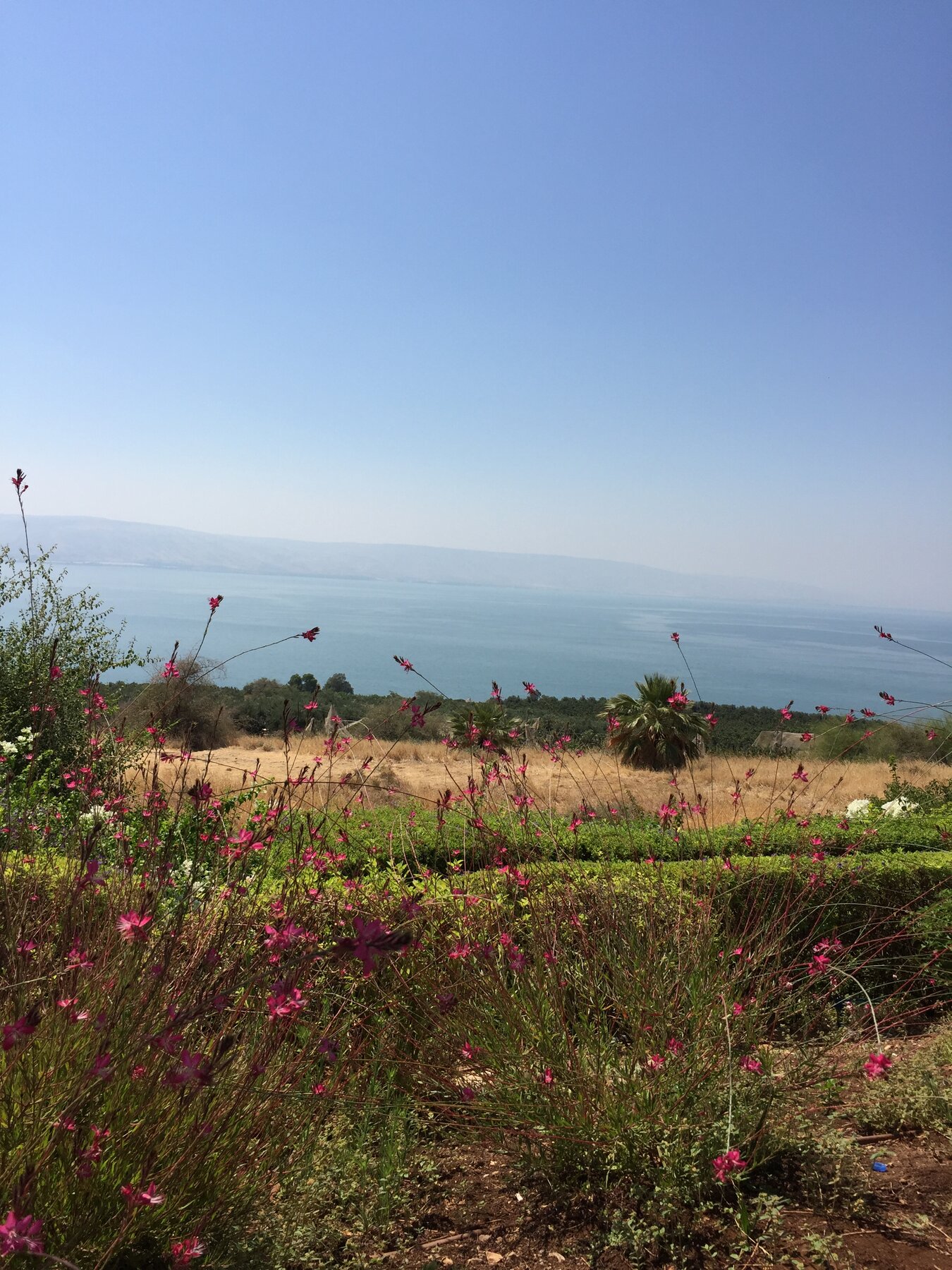 Sea of Galilee & Golan