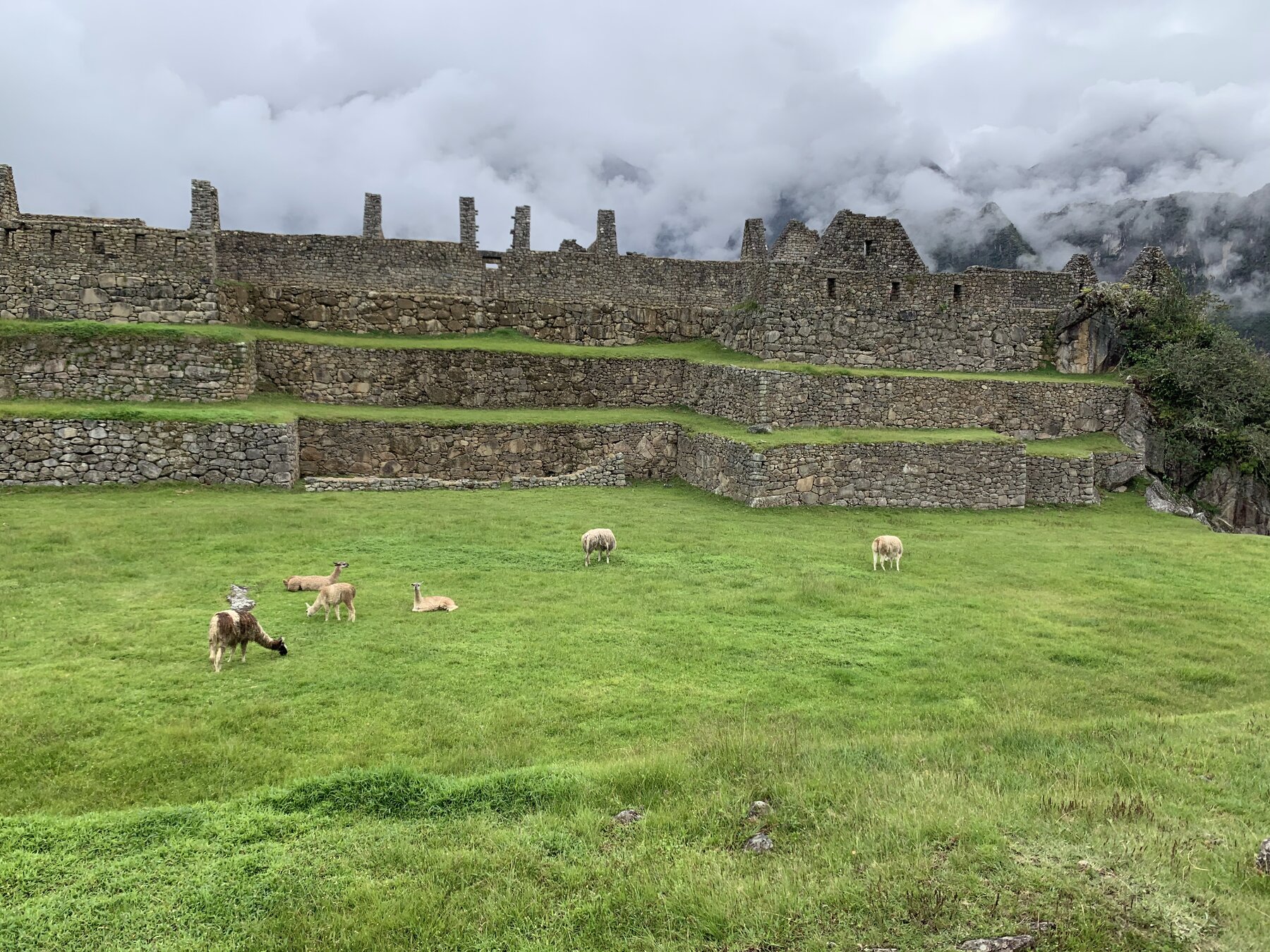 Machu Picchu