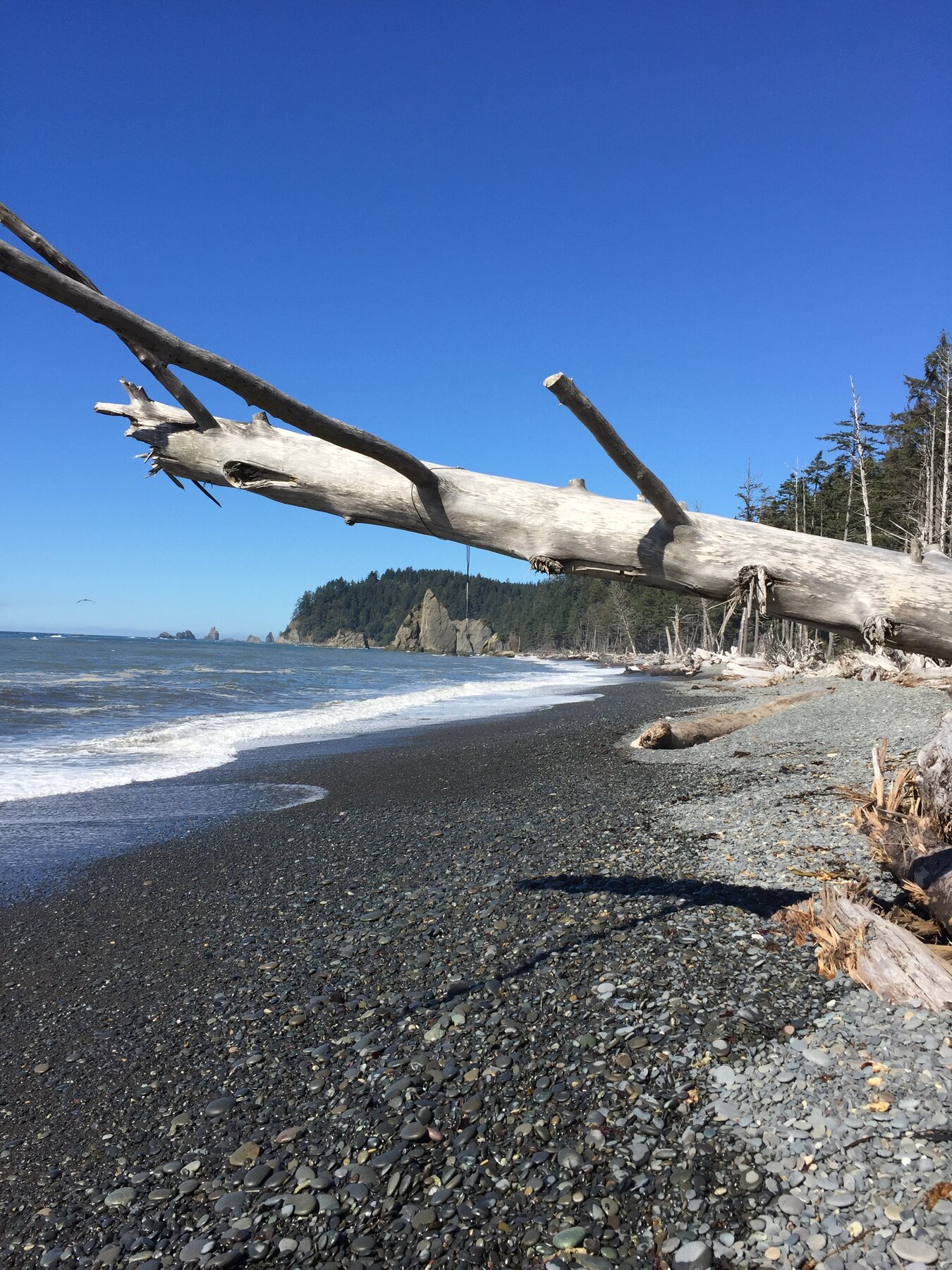 Olympic National Park, Washington