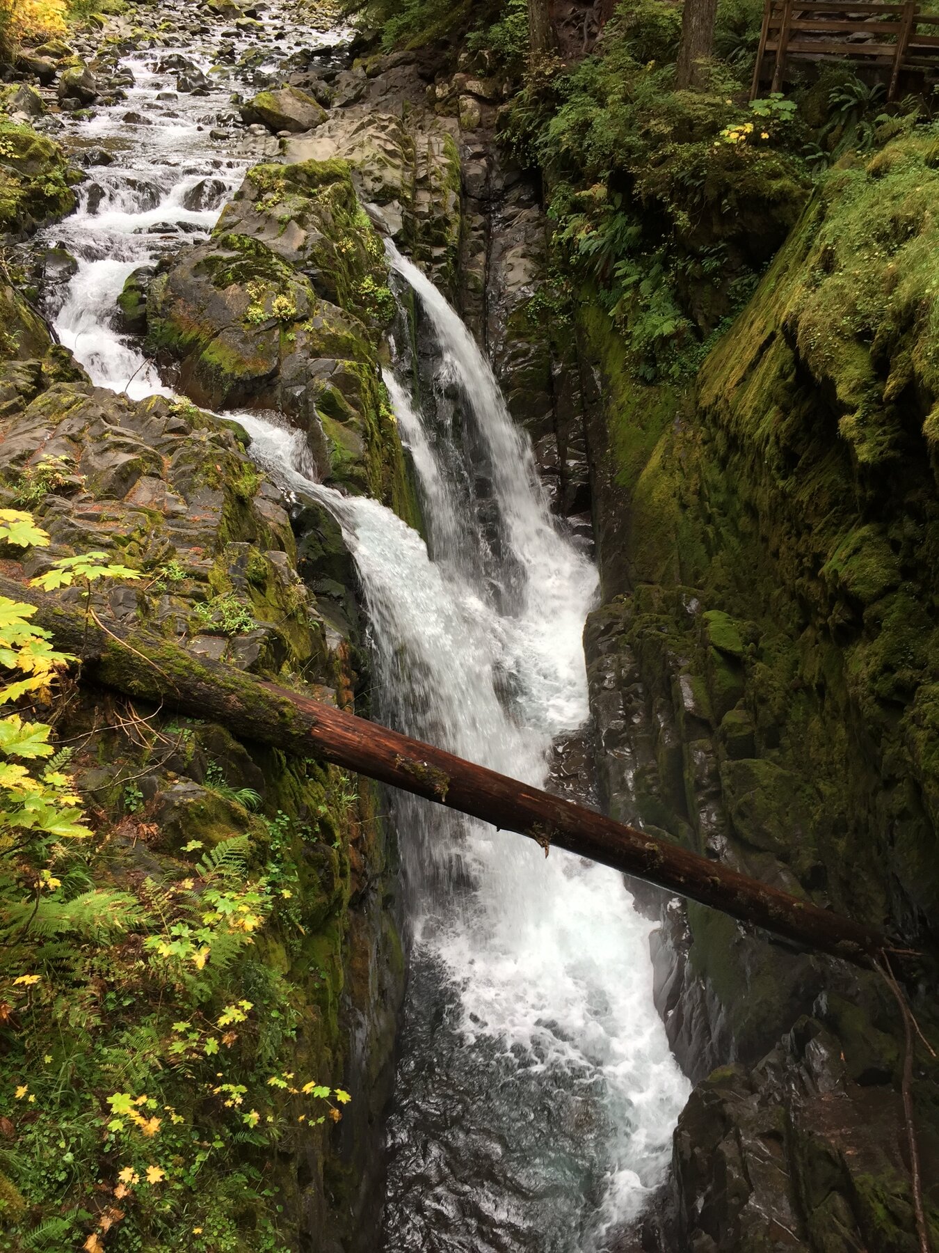 Olympic National Park, Washington