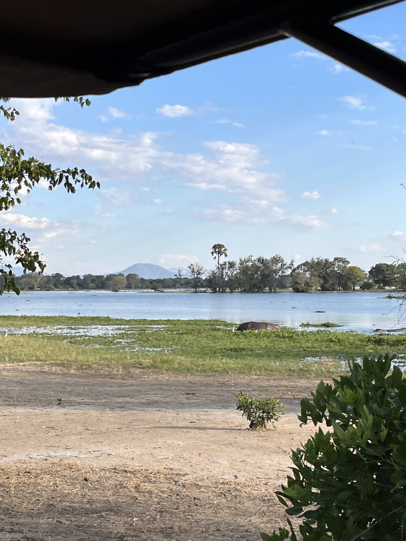 Liwonde National Park