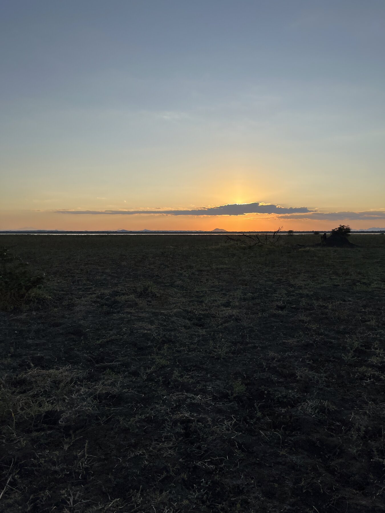 Liwonde National Park